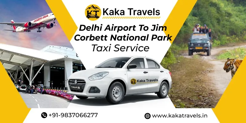 Delhi Airport to Jim Corbett National Park Taxi Service